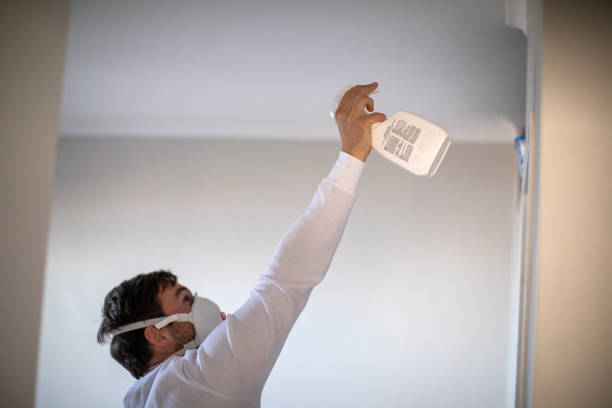 Best Industrial Mold Remediation in East Missoula, MT